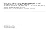STUDY OF SULFUR BEHAVIOR AND REMOVAL DURING THERMAL …library.isgs.illinois.edu/Pubs/pdfs/circulars/c545.pdf · originally had 4 to 6 percent sulfur, hydrodesulfurization experiments