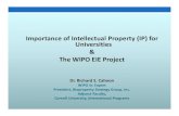 Importance of Intellectual Property (IP) for Universities ... · Importance of IP for Universities 2 Intellectual property (IP) is the foundation of a “new” university mode: •IP-based