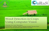 Weed Detection in Rice Crop Using Computer Visionieeeagra.com/ieeeagra/Downloads/20161207-Khan-Presentation.pdf · o Weed destroys 15-20% or in some cases up to 50% of the crop1 o