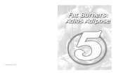 Guggulsterones: Turn Up the Heat to Burn More Fat C 124 Bodybuilding Supplement Guide Bodybuilding Supplement