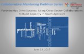 Partnerships Drive Success: Using Cross-Sector ......2017 Collaborative Mentoring Webinar Series Planning Team ... Collaborative Mentoring Webinar Series Good to Know… One week after