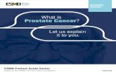 What is Prostate Cancer€¦ · Prostate cancer is described as locally advanced if the cancer has spread beyond the prostate gland. For example, the cancer may have spread into the