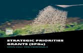 STRATEGIC PRIORITIES GRANTS (SPGs)...1. Brief Curriculum Vitae: Attach an abbreviated copy of the applicant’s current curriculum vitae, including a list of publications, presentations,