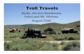 Troll Travels Bodie, Bristlecone, Mt. Whitneytbms.wpusd.org/subsites/Chris-McKay/documents/Troll... · forest,and Mt. Whitney August 2008. Bodie is a ghost town that is being held