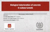 Biological deterioration of concrete in subsea tunnels Symposium, 6th –8th September 2017, Manchester Metropolitan University, UK • Paper published in proceedings: Microbial attack