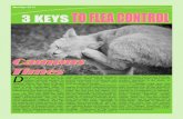 Mar/Apr 2015 3 KEYS...2010/03/11  · your pet’s fur. Here’s a few tips in nipping your flea issues in the bud. 1. Know the Dangers: While some cats live with fleas and show minimal