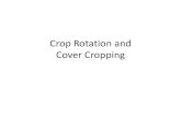 Crop Rotation and Cover Cropping · Agustin Limon-Ortega (2011). Planting System on Permanent Beds; A Conservation Agriculture Alternative for Crop Production in the Mexican Plateau.