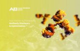 Your Partner in Therapeutic Antibody Discovery & Optimization€¦ · or Rabbit Mass Humanization. The Naïve Human Antibody Library The Naïve Human Antibody Library leverages the