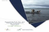 New Water Framework Directive Fish Stock Survey of Lough Sheelin, … · 2012. 7. 12. · Lough Sheelin was surveyed over two nights between the th27th and the 29 of June 2011. A