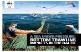 A SEA UNDER PRESSURE: BOTTOM TRAWLING · in decline, under pressure from a number of threats. Urgent, coordinated and far-reaching action is needed to save its ... of trawling areas