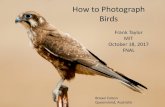 How to Photograph Birds - MITfet/How to Photograph Birds - FNAL.pdf · 18/10/2017  · Birds in Comparison • Warm-blooded flying species –1,000 bats –9,721 birds • Speed –Humans