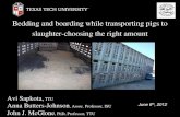 Bedding and boarding while transporting pigs to slaughter ...€¦ · bedding trailer as compared to no bedding, but percentage of NANI pigs was higher as compared to no or wet bedding.