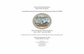 Community Development Block Grant Program Consolidated ... · The City of Rochester develops the Five-Year Consolidated Plan, annual Action Plan, and annual CAPER to provide a strategy
