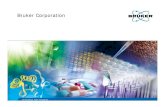Innovation with Integrity · 2018. 12. 4. · 50 Years of Bruker History 1960 Bruker was founded in 1960 with NMR products 2006 Bruker BioSciences acquires Bruker Optics 2003 Merger