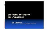 gestione intensiva dell'urosepsi-Lamborghini · • PCT > 2 SD range di normalità Alterazioni emodinamiche Segni disfunzione d’organo • Ipotensione arteriosa < 90 mmHg