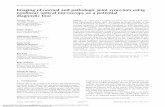 Imaging of normal and pathologic joint synovium using nonlinear … · E-mail: ntiwari@uci.edu Journal of Biomedical Optics 15 5 , 056001 September/October 2010 Journal of Biomedical