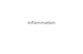 InflammationChemical mediators of inflammation •Chemical mediators account for the events of inflammation. Inflammation has the following sequence: •Cell injury Chemical mediators