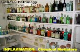 CHEMICAL MEDIATORS OF INFLAMMATION...CHEMICAL MEDIATORS OF INFLAMMATION Definition: any messenger that acts on blood vessels, inflammatory cells or other cells to contribute to an