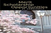 Merit Scholarship Opportunities · selection committee reviews scholarship application essays and two letters of recommendation. Ingram Scholar finalists are also required to interview