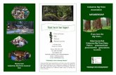 Thank You for Your Support - Calaveras Big Trees Association · Since 1974, CBTA has been able to assist in enhancing the visitor’s exploration and enjoy-ment of Calaveras Big Trees