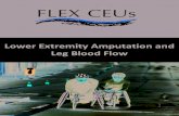Lower Extremity Amputation and Leg Blood Flow€¦ · leg amputation [1-3]. In general, exercise therapists commonly recommend resistance training for subjects with amputation below