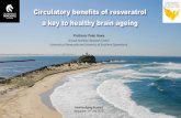Circulatory benefits of resveratrol a key to healthy brain ......Clinical evaluation of c irculatory and health benefits of resveratrol . Resveratrol (2x75mg/day) for 14 weeks improved: