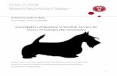 Investigation of dystocia in Scottish Terriers by means of ...¥dgivning/Specialer/kejsers… · CV/DT = the relation between the vertical and the horizontal diameter of the pelvic
