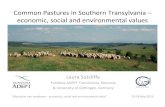 Common Pastures in Southern Transylvania economic, social ......Fundatia ADEPT Transilvania, Romania & University of Göttingen, Germany “Mountain hay meadows –economic, social