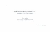 Immunotherapy in NSCLC: Where do we stand€¦ · comparative studies 11 | Toxicity Gade % of patients Check-mate 17 Checkmate 57 KEYNOTE 10 N Doc N Doc P2 P10 Doc All 59 87 69 88