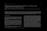 Wernicke-Korsakoff syndrome following small bowel obstructiondownloads.hindawi.com/journals/bn/2002/702526.pdf · 2019. 8. 1. · Wernicke-Korsakoff syndrome following small bowel