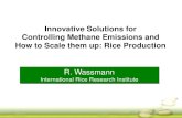 Innovative Solutions for Controlling Methane Emissions and ... · Controlling Methane Emissions and ... Rice Production . Outline 1. Background: Rice as a source of GHGs 2. Technical