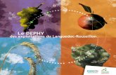 Le DEPHY des exploitations du Languedoc-Roussillondraaf.occitanie.agriculture.gouv.fr/IMG/pdf/dephy... · Le réseau Ferme DEPHY doit per-mettre des dynamiques nouvelles d’actions