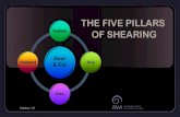 THE FIVE PILLARS - Wool5 FOREWORD: The Five Pillars of Shearing are the core underlying principles of shearing that you can use to develop an efﬁcient shearing style that is suited