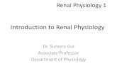 Introduction to Renal Physiology · Renal Physiology 1. Learning Objectives At the end of the session, the students should be able to: •Explain the physiological anatomy of Urinary