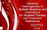 Genomic Heterogeneity of Multiple Myeloma and Implications ... · Weinhold et al., Blood 2016 . 13 Introduction to myeloma genetics ... Overview . 14 “Focal lesion” project Aim:
