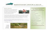 KENTUCKY DUCK CALLS - Ducks Unlimited · Kentucky is located in the Mississippi Flyway and provides important Lakes states. Kentucky has the potential to winter large numbers of mallards,
