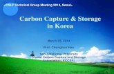 Carbon Capture & Storage in Korea · 2015. 8. 25. · Carbon Capture & Storage in Korea March 25, 2014 Prof. Chonghun Han Seoul National University Korea Carbon Capture and Storage