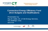 Connecticut Energy Efficiency Fund 2015 Budgets and ... · 02/17/15 . Agenda •The “Budget Evolution” •Budget Comparisons •Program Modifications •Reminders •Contacts