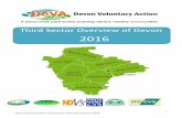 Third Sector Overview of Devon · 2018. 9. 11. · Devon Voluntary Action (DeVA) Third Sector Overview of Devon 2016 Legal Status The total number of groups in Devon, that we are