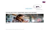 Mystery Shopping Analysis Report March 2017-finalFINAL Mystery...Mystery shoppers were not required to have a disability to participate in the assignment, nor were they required to