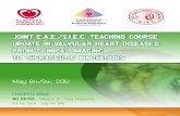 JOiNT E.A.E./S.i.E.C. TEACHiNg COurSE uPDATE iN VALVuLAr ...€¦ · 9.00-11.00 VALVuLAr HEArT DiSEASE: Clinical perspective Chairpersons: A. Vahanian, P. Camici 9.00-9.15 The changing