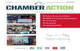 CHAMBER ACTION - Ankeny Chamber · 6/6/2020  · Chamber Cocktails on the Couch - Virtual Networking Thursday, June 11, 4:00 pm, no cost to attend, but registration required at Ribbon