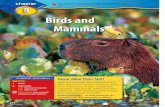 Birds and Mammals · Feathers Birds are the only animals that have feathers. Their bodies are covered with two main types of feathers—contour feathers and down feathers. ... attached
