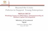 Beyond the Crisis: Policies to Support Young EnterprisesSME Stock Market) o Establishment of Single Financial Regulatory Authority – EFSA Egyptian Financial Supervisory Authority
