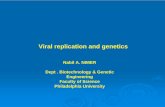 Viral replication and genetics - philadelphia.edu.jo · cytoplasm, carries many of the enzymes needed for viral transcription and replication and sets up small virus ‘factories’.