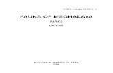 FAUNA OF MEGHALAYAfaunaofindia.nic.in/PDFVolumes/sfs/020/index.pdf · 2 State Fauna Series 4 : Fauna of Megha/aya Zoologisches Museum, Hamburg. Hoogstraal and Rack (1967) identified