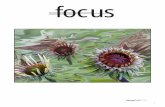 Focus-2010, Fall- FINALphotographer, on what makes a “winning photograph,” he answers, “Amaze me!” Enjoy this issue. It, too, should “Amaze you!” In this issue 4 Creative