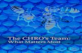 The CHRO’s Team...plan to elevate the quality of their team, there is none. It’s that inattention to the quality of the CHRO’s team that creates destructive friction between