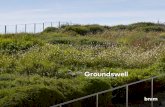 Groundswell · Groundswell THE LANDSCAPE PRACTICE OF BNIM. About BNIM BNIM is an innovative leader in designing high performance environments. BNIM’s instrumental ... Regional and