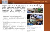 CEGELEC CSS S.A. · Cegelec CSS SA is a reference in Belgium and abroad. Specialised in the design and manufacturing of control systems for the energy sector (power plants, electricity
